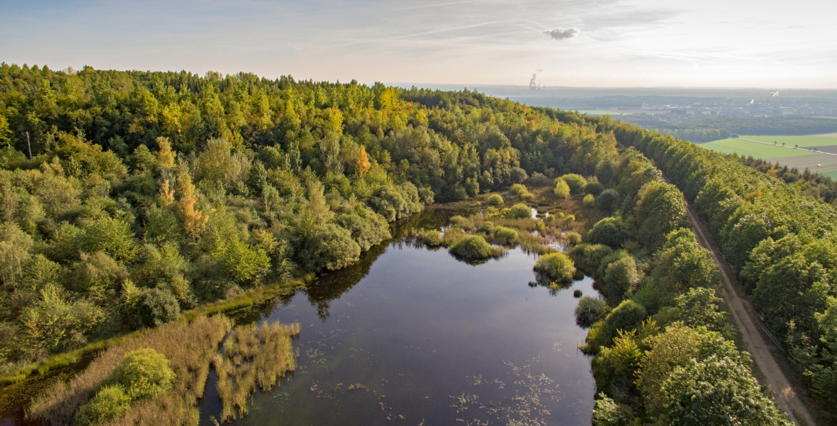 Eine Vogelperspektive auf einen ruhigen See, umgeben von üppigen grünen Bäumen, mit Feldern und einem entfernten Industriegebiet.