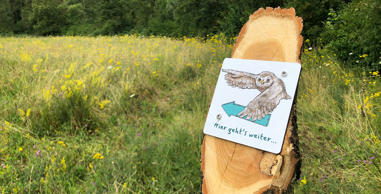 Ein Wegweiser auf einem Baumstumpf mit einer Zeichnung einer Eule, die nach rechts zeigt. Text: 'Hier geht's weiter...