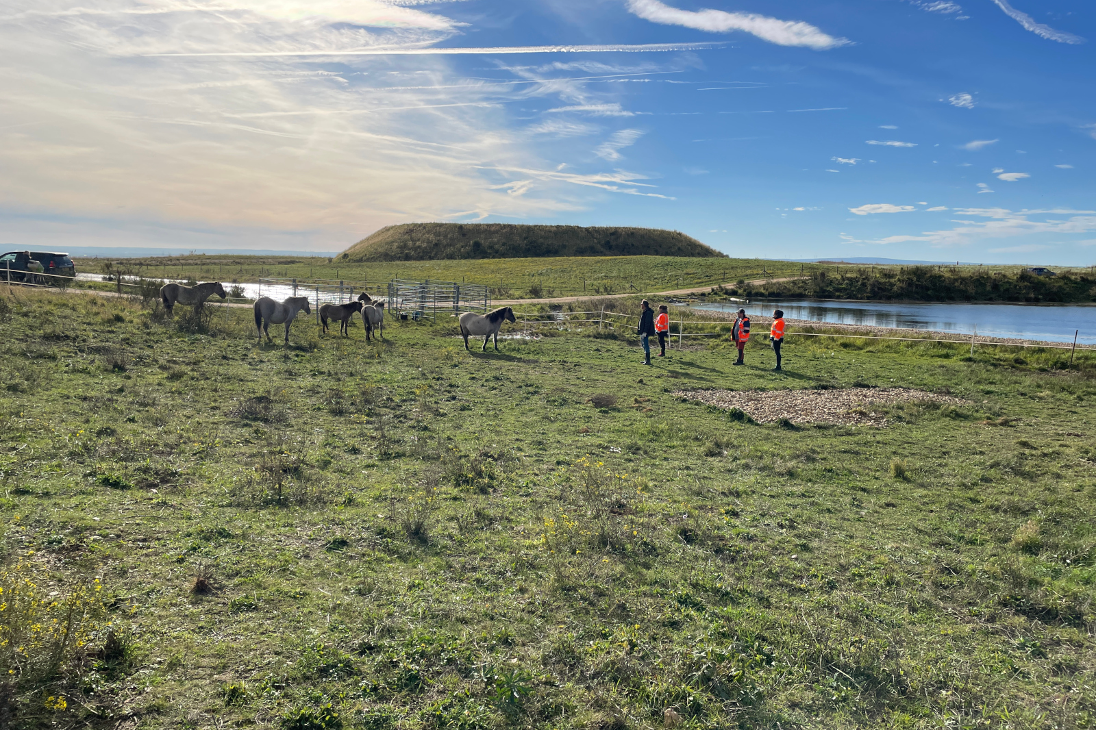 Eine Gruppe von Menschen in leuchtend orangefarbenen Westen steht in einem grasbewachsenen Feld neben Pferden an einem ruhigen See unter einem blauen Himmel mit zarten Wolken.
