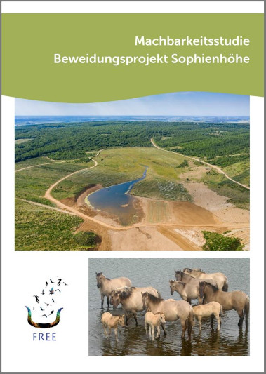 Eine Landschaft mit sanften Hügeln, Wasser und einer Gruppe von Pferden, die im flachen Wasser stehen.