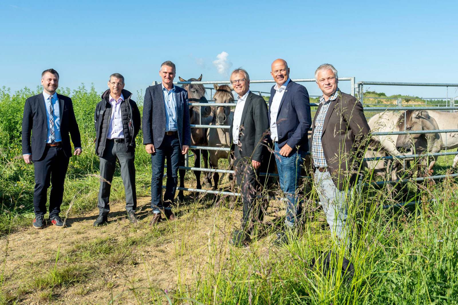 Sechs Männer stehen vor einem Zaun mit Pferden in einem grünen Feld unter einem klaren blauen Himmel.