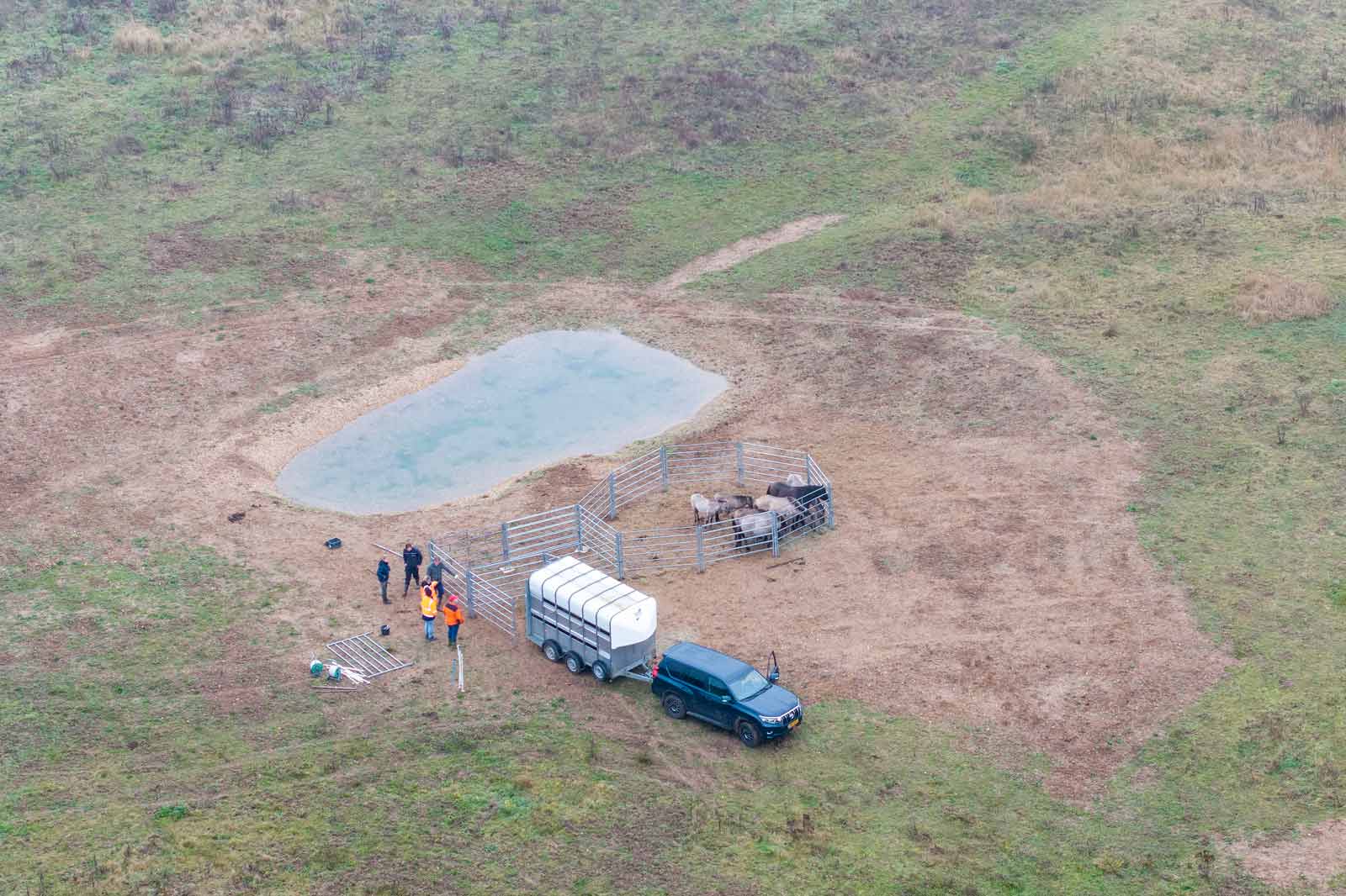 Eine Gruppe von Menschen steht neben einem Wasserloch auf einer Wiese. Ein Pferdeanhänger und ein schwarzes Auto sind sichtbar.
