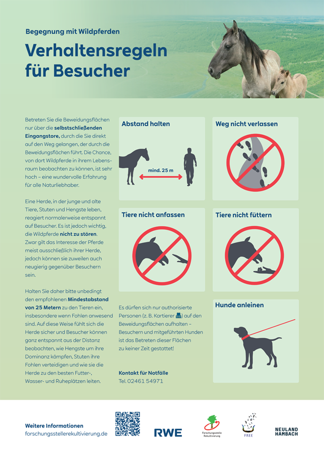 Ein Plakat mit Verhaltensregeln für Besucher, die mit Wildpferden interagieren, zeigt Regeln wie Abstand halten und Tiere nicht füttern.