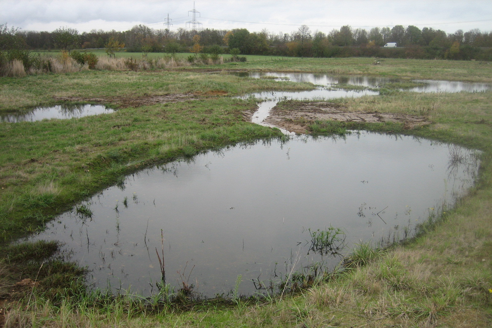 Eine ländliche Landschaft mit kleinen Teichen, umgeben von Gras und spärlicher Vegetation unter einem bewölkten Himmel.