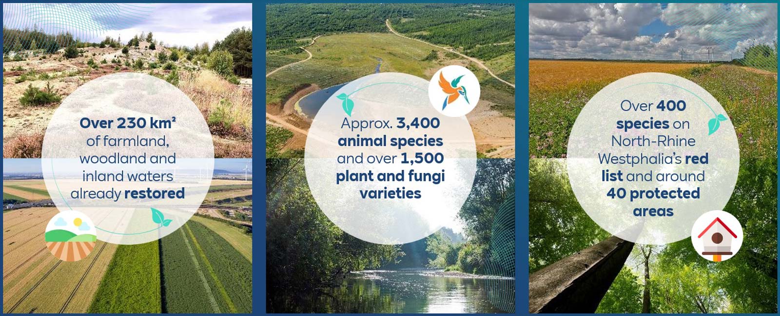 A triptych showcasing restored farmland, diverse species, and protected areas in North-Rhine Westphalia.