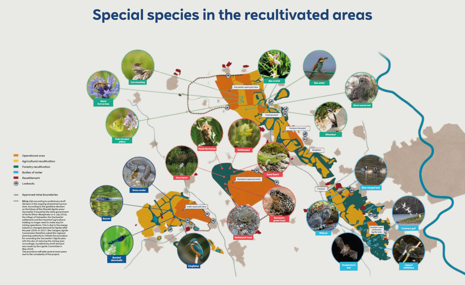 A map featuring special species in recultivated areas, displaying various animals and plants with images and names.