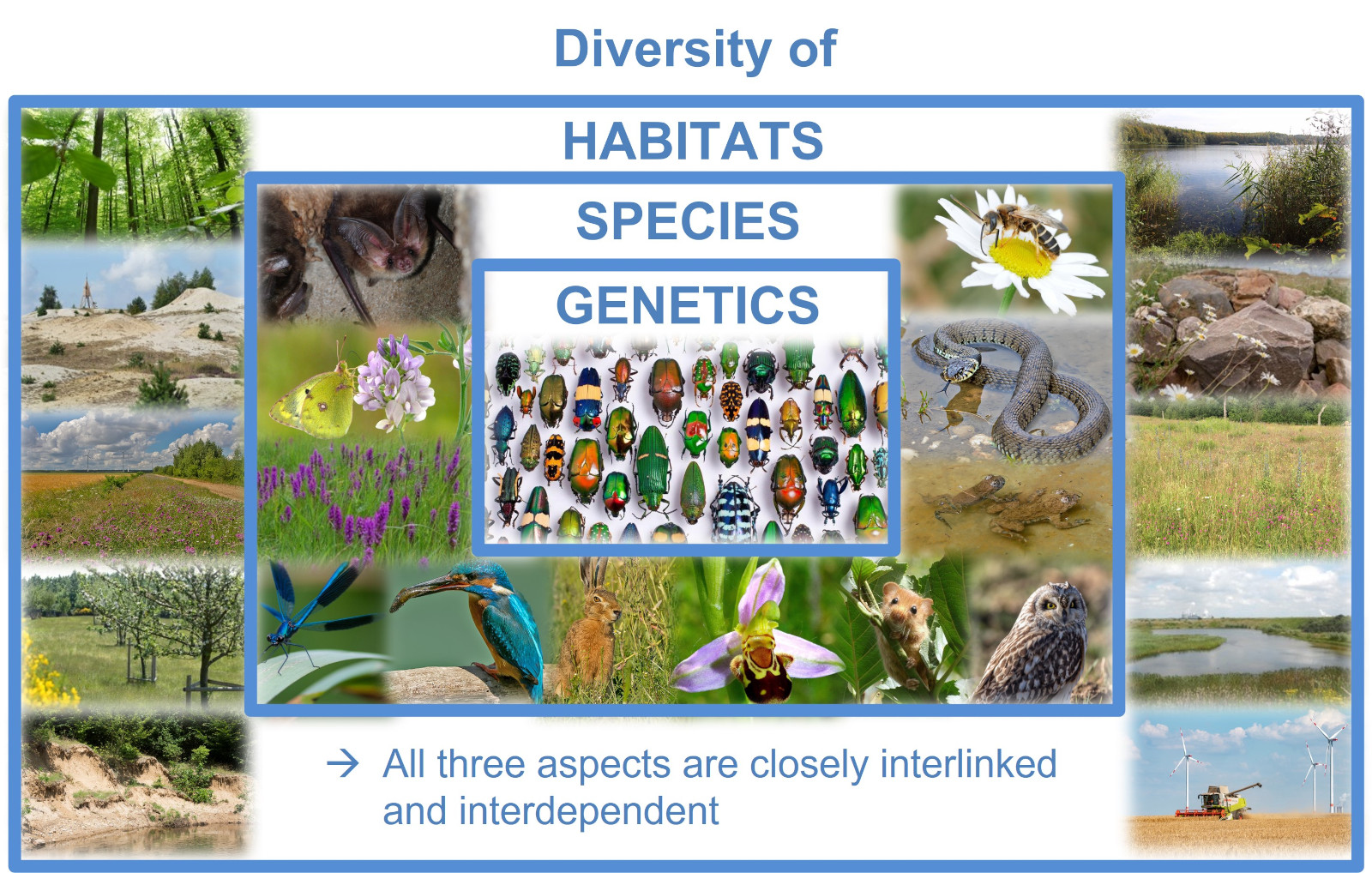 The image displays a collage of various habitats, species, and genetic features found in nature.