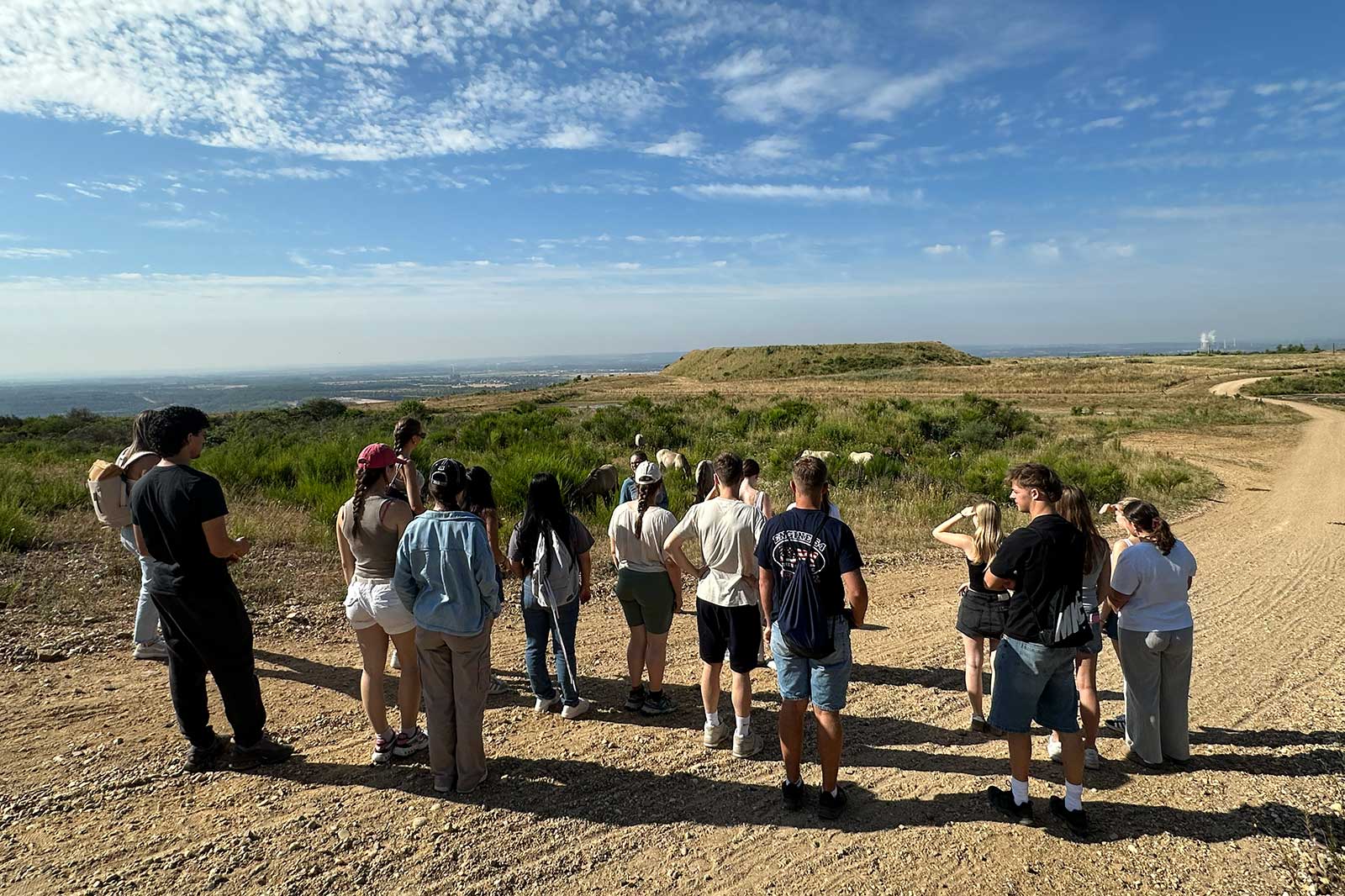 Eine Gruppe junger Menschen steht auf einem Kiesweg und beobachtet eine Herde Ziegen in einer offenen, hügeligen Landschaft unter blauem Himmel.