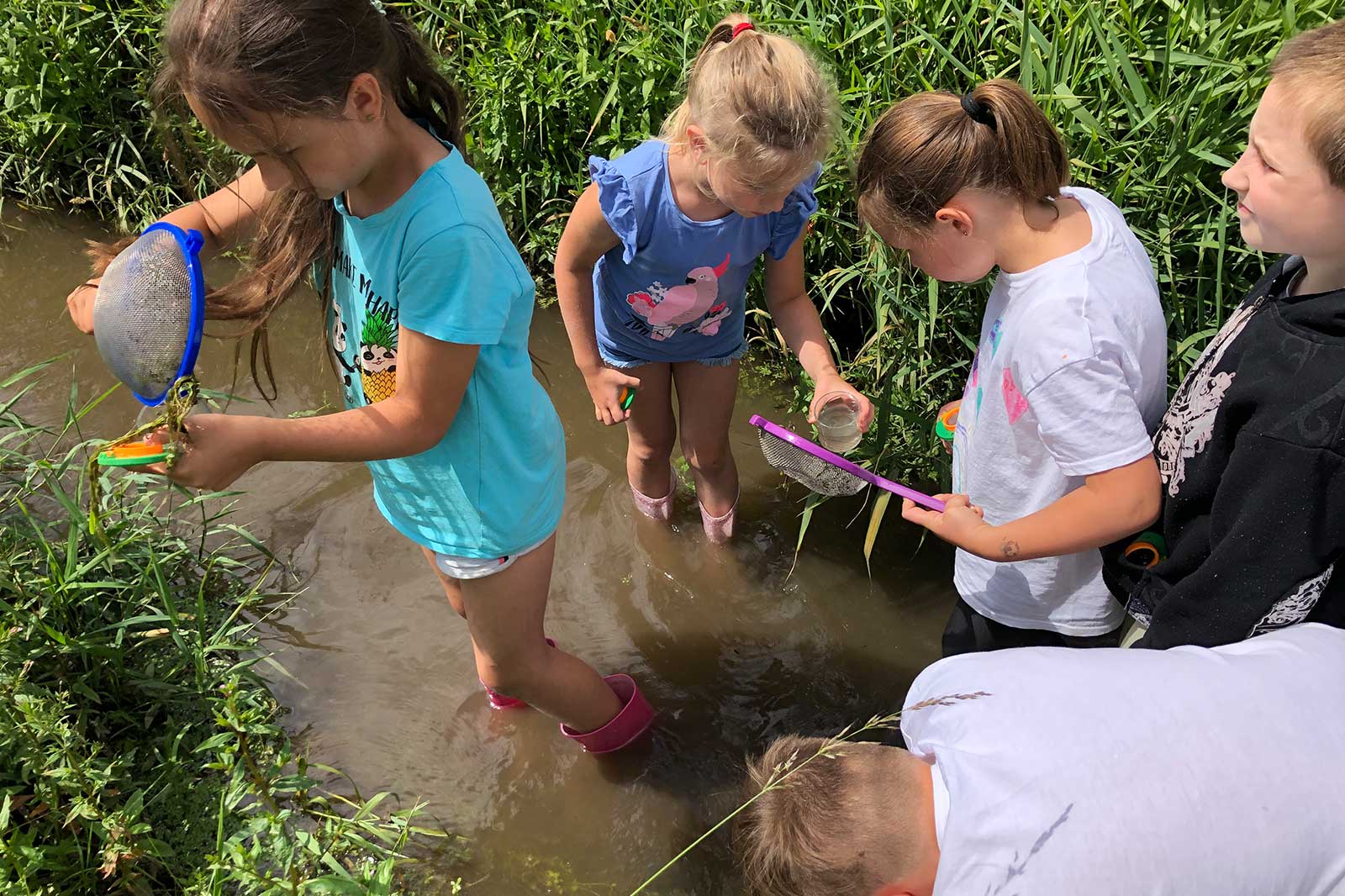 Fünf Kinder stehen im Wasser eines Bachs und untersuchen mit Sieben und Gläsern die Umgebung.