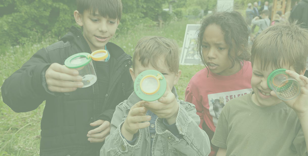 Vier Kinder betrachten kleine Käfige mit Gegenständen in einem Garten mit hohem Gras.