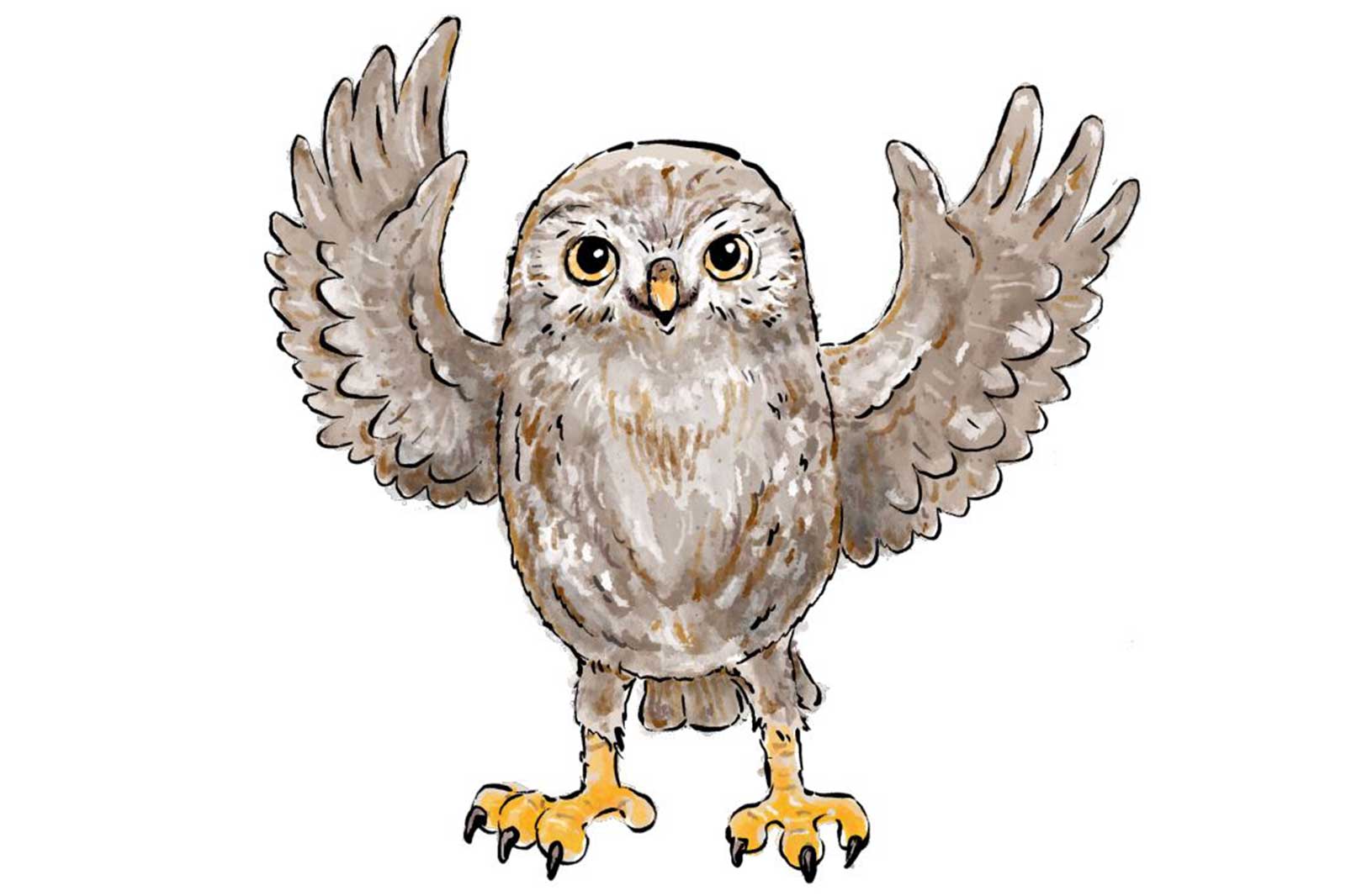 Eine niedliche Cartoon-Eule mit ausgebreiteten Flügeln, runder Körperform und großen Augen, die auf gelben Füßen vor weißem Hintergrund steht.
