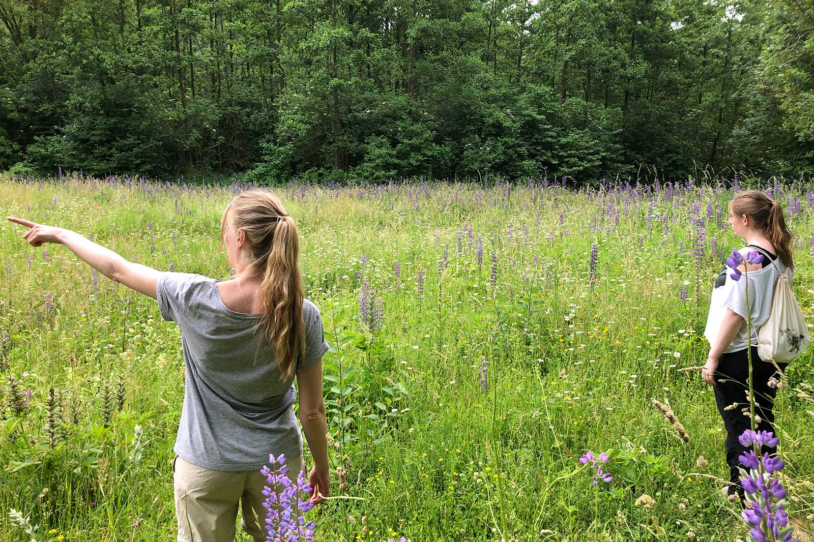 Zwei Personen stehen in einer blühenden Wiese mit lila Blumen. Eine Person zeigt in eine Richtung.