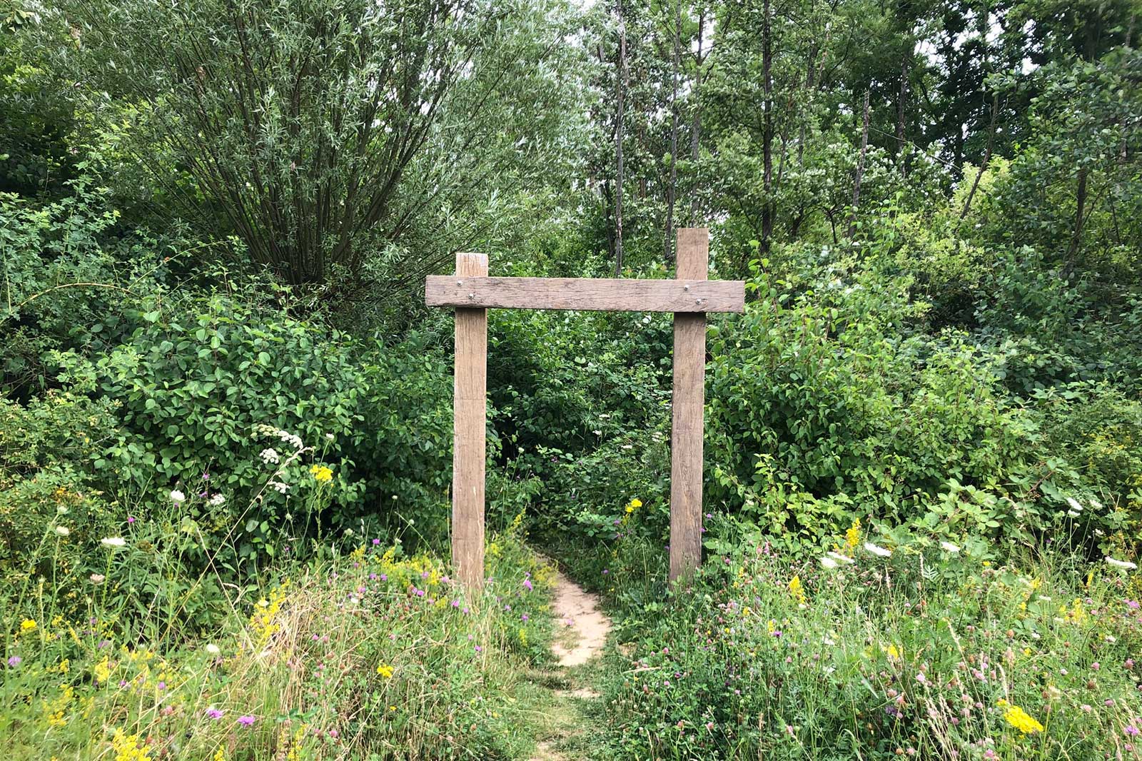 Ein Holzbogen führt durch eine hohe grüne Vegetation mit bunten Wildblumen, die den Weg zu einem geheimen Ort anzeigt.
