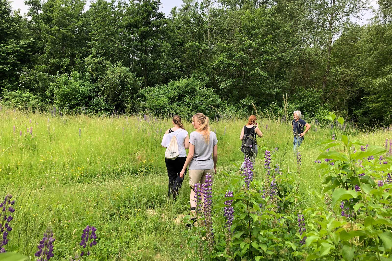 Eine Gruppe von Menschen geht durch eine blühende Wiese mit hohen grünen Pflanzen und lila Blumen im Hintergrund.