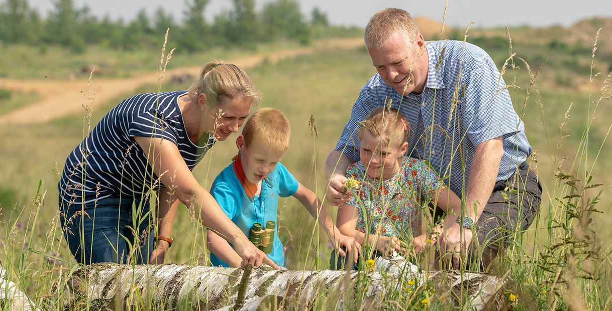 Eine Familie mit Kindern untersucht die Natur auf einem Feld. Sie interagieren mit einem Baumstamm und erkunden ihre Umgebung.