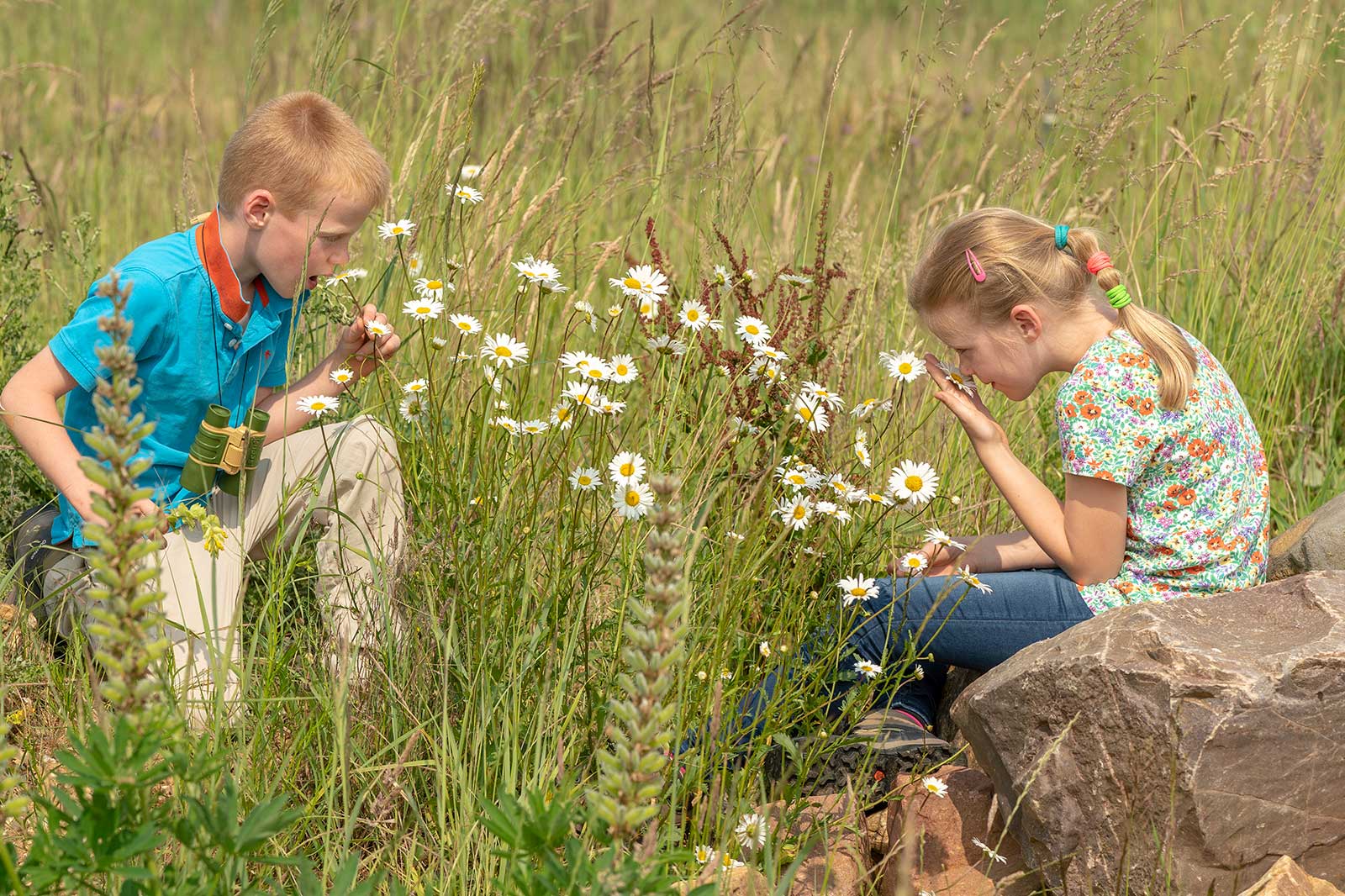 Zwei Kinder erkunden ein Blumenfeld, eines untersucht Gänseblümchen, während das andere auf einem Stein sitzt, umgeben von Gras.