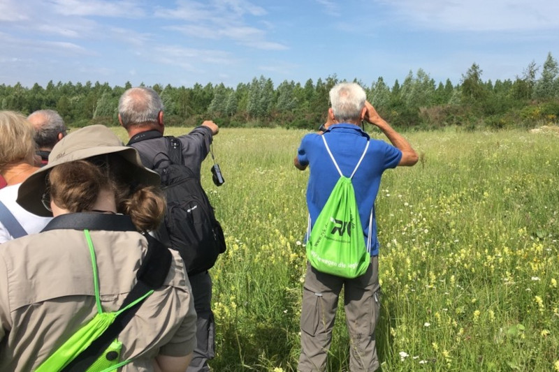 Eine Gruppe von Menschen beobachtet Wildtiere auf einer Wiese, während ein Mann fotografiert und ein anderer in die Ferne zeigt.