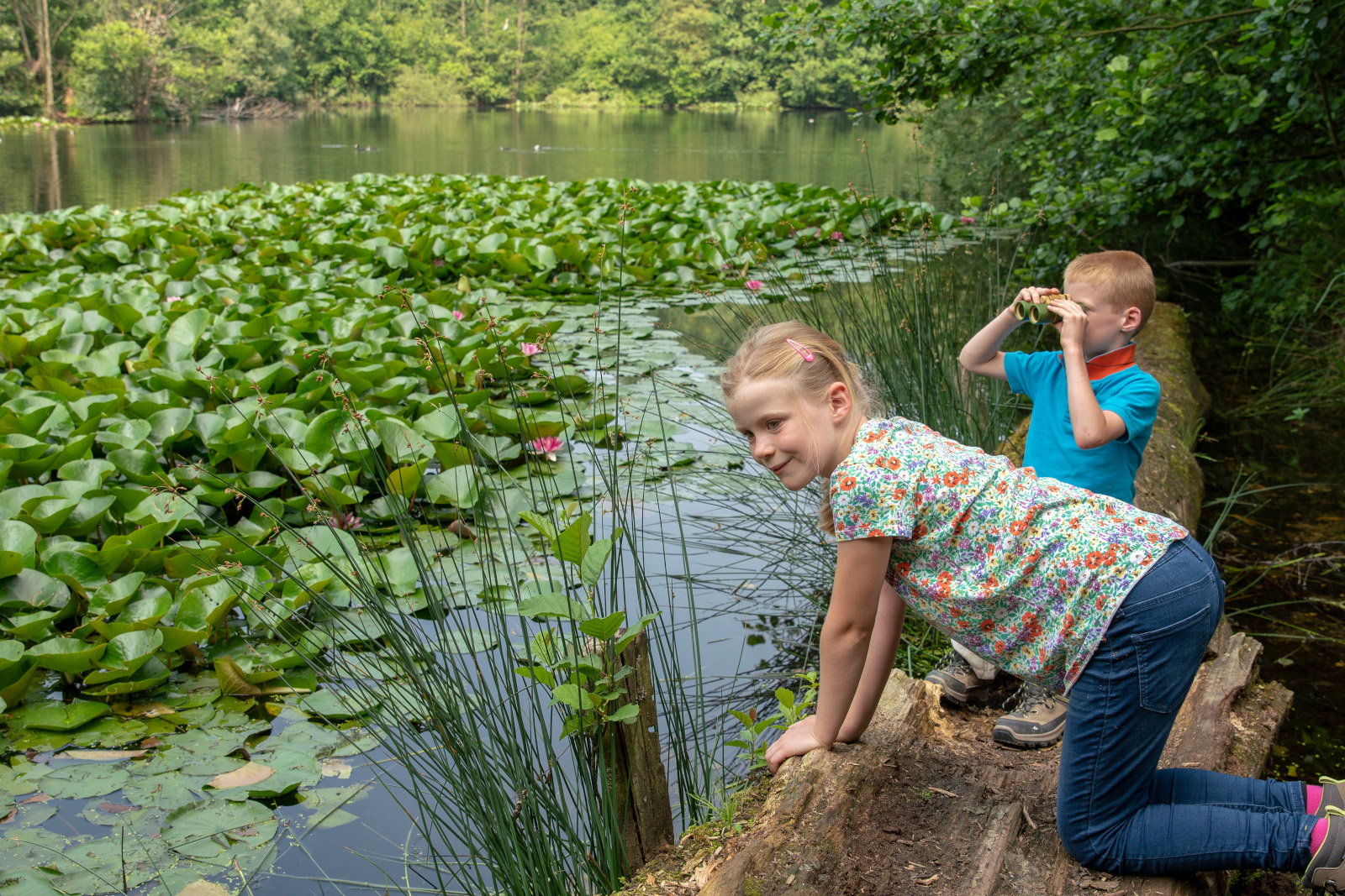 Zwei Kinder entdecken einen ruhigen See, umgeben von üppigen Seerosen und Wildblumen, eines nutzt ein Fernglas.