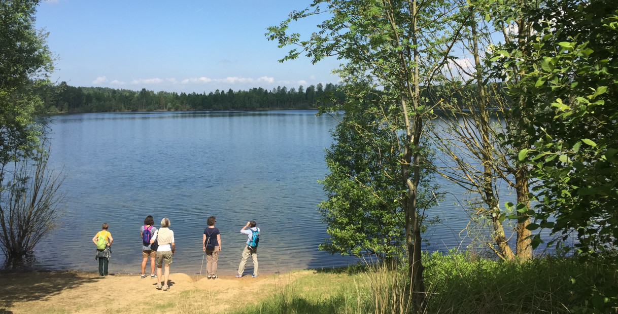 Vier Personen stehen an einem ruhigen See und beobachten das Wasser und die umliegenden Bäume unter einem klaren blauen Himmel.