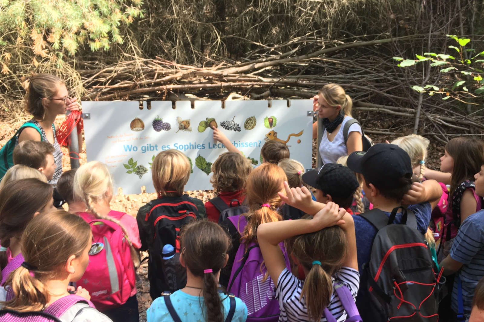 Eine Gruppe von Kindern und einem Erwachsenen versammelt sich um ein lehrreiches Schild im Wald, das über die Natur und lokale Tierwelt informiert.
