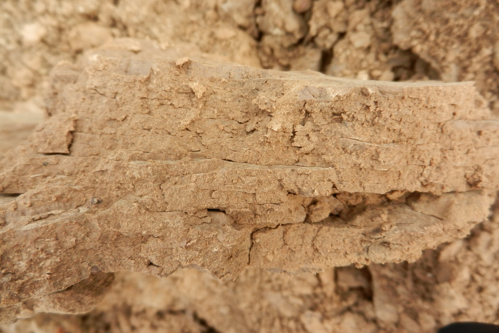 Nahaufnahme eines rauen, braunen Erdstücks mit sichtbaren Rissen und Texturen, umgeben von losem Boden.