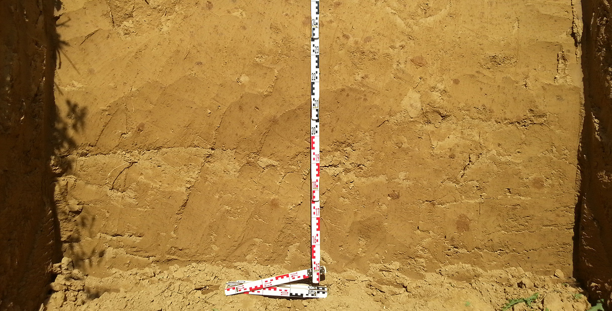 Ein Messstab steht aufrecht an einer Erdwand, mit sichtbaren Messungen bis 24. Der Boden ist uneben und sandig.