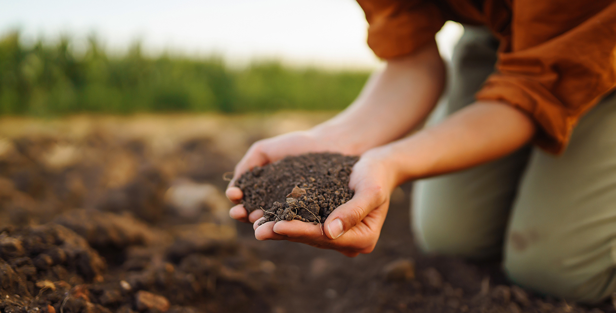 Eine Person kniet im Boden und hält eine Handvoll dunkle Erde, umgeben von grünem Hintergrund.
