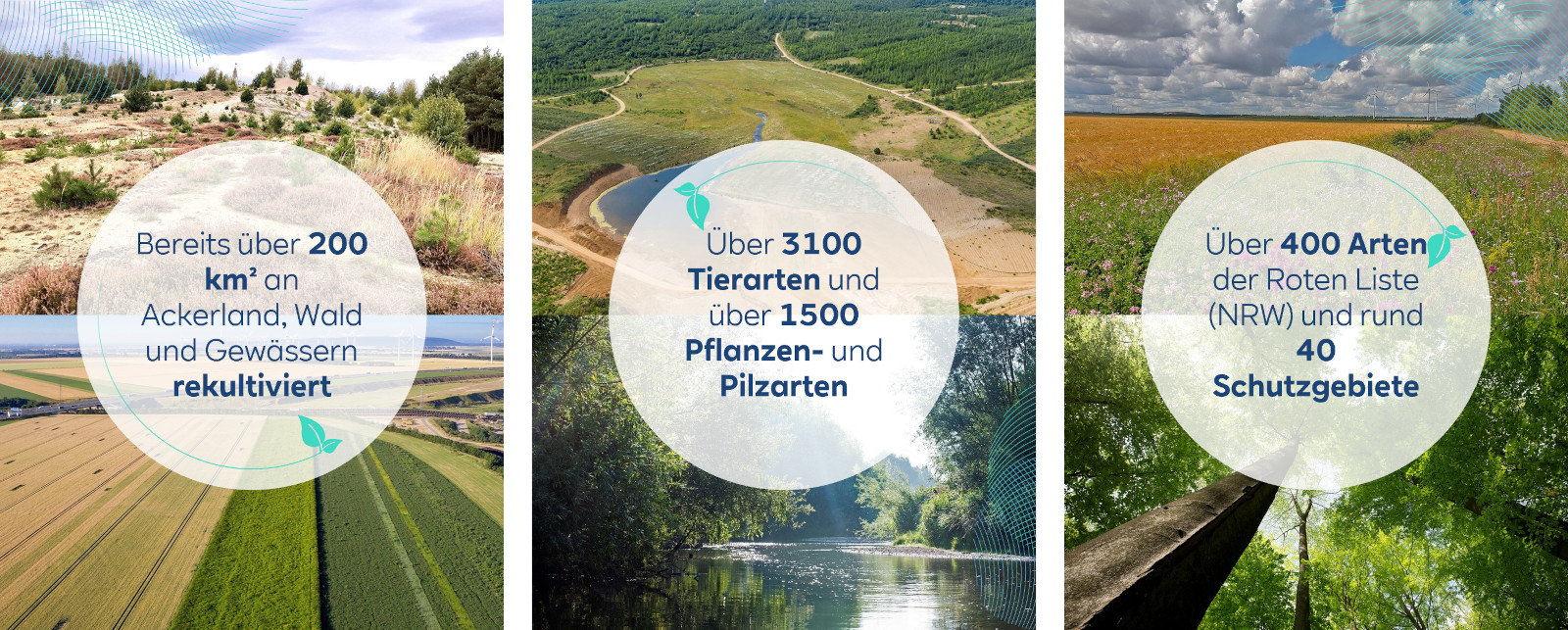 Eine Collage von Bildern, die Aufforstungs- und Biodiversitätsprojekte zeigt, mit Statistiken zu Fläche, Arten und Schutzgebieten.