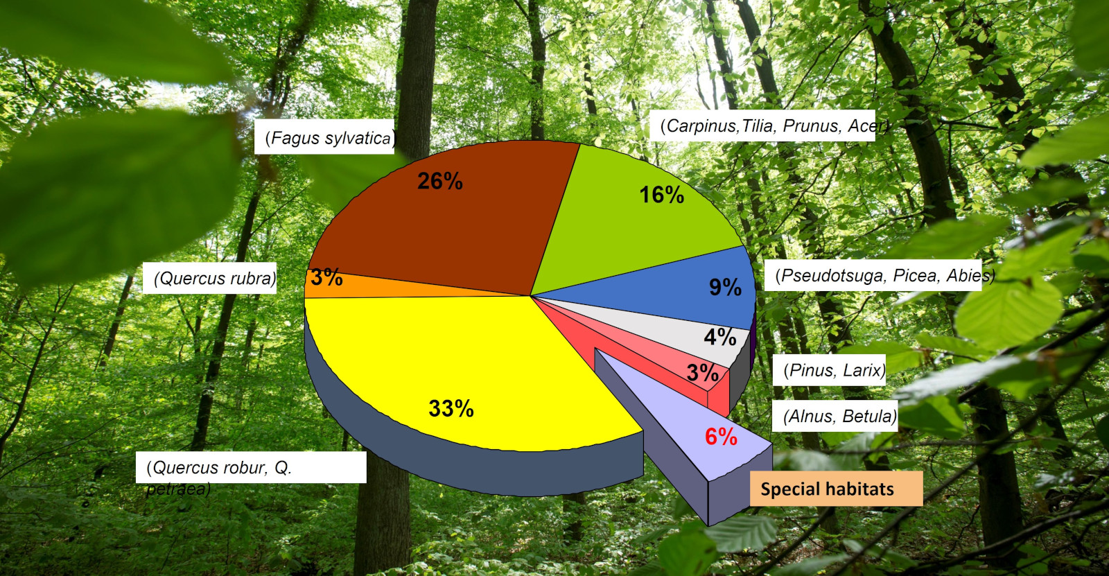 A chart displays the percentage distribution of various tree species in a forest, with 'Special habitats' highlighted.
