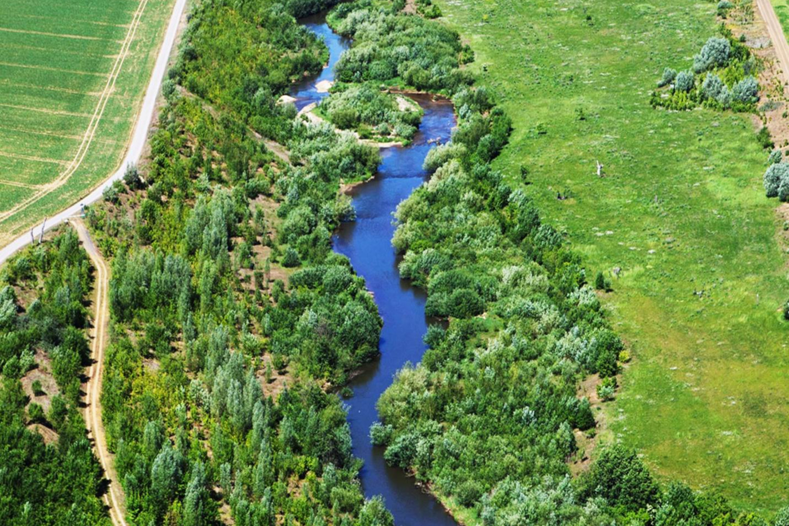 Eine Vogelperspektive auf einen gewundenen Fluss, umgeben von üppigem Grün und Feldern, zeigt die lebhaften Farben der Natur.