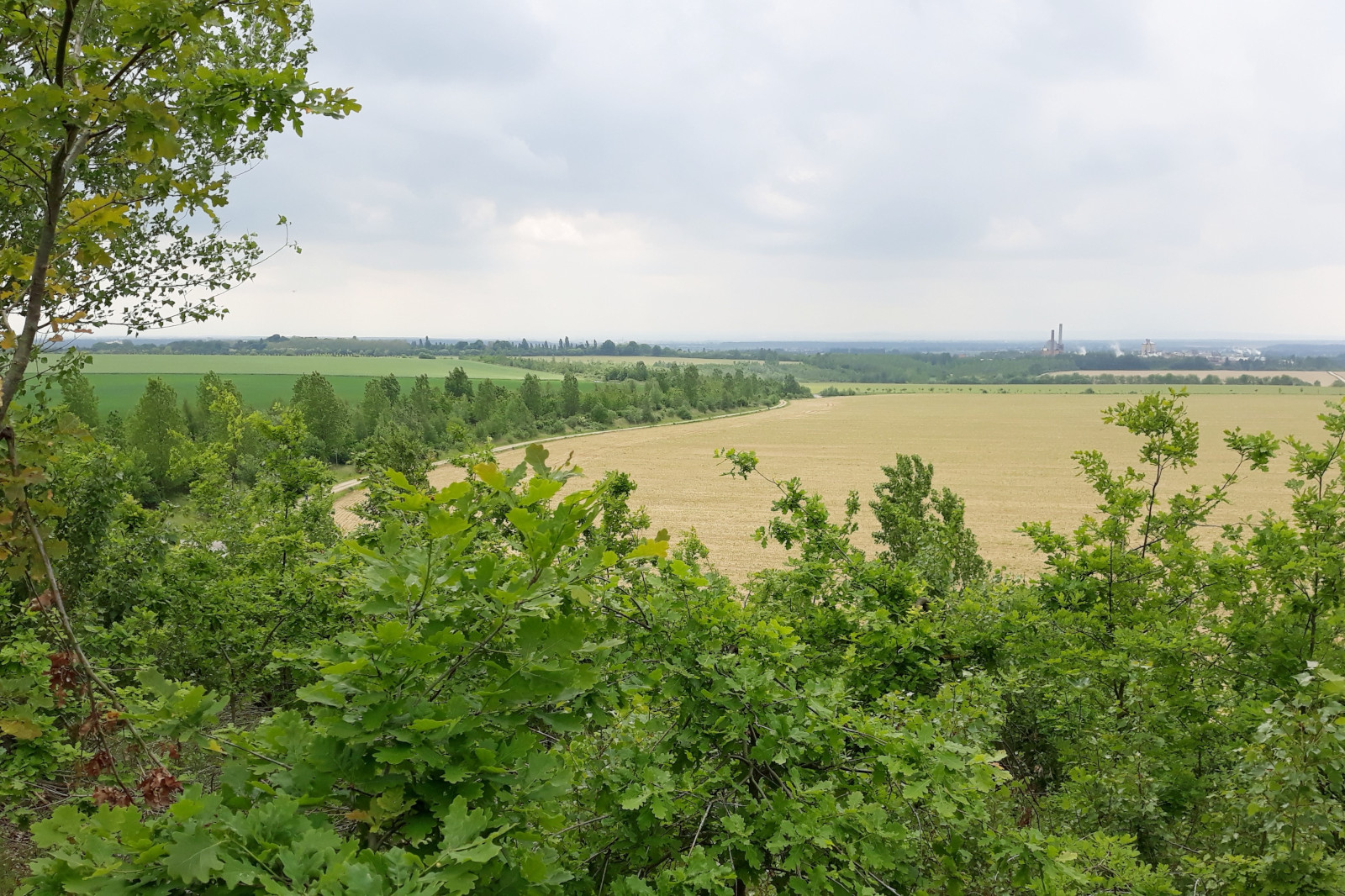 Eine malerische Aussicht auf grüne Felder und Bäume unter einem bewölkten Himmel, mit sichtbaren Industrieanlagen in der Ferne.
