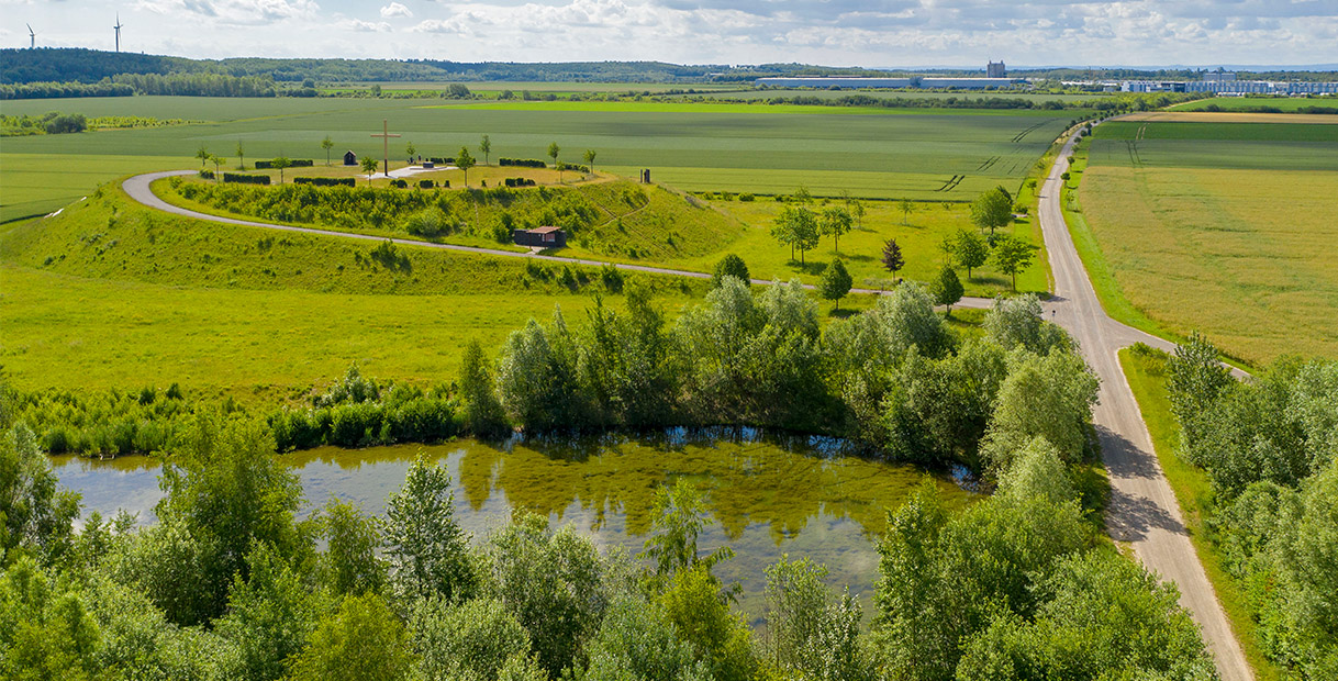 Luftaufnahme von saftig grünen Feldern mit einer kurvenreichen Straße und einem Teich, umgeben von Bäumen, unter einem strahlend blauen Himmel.