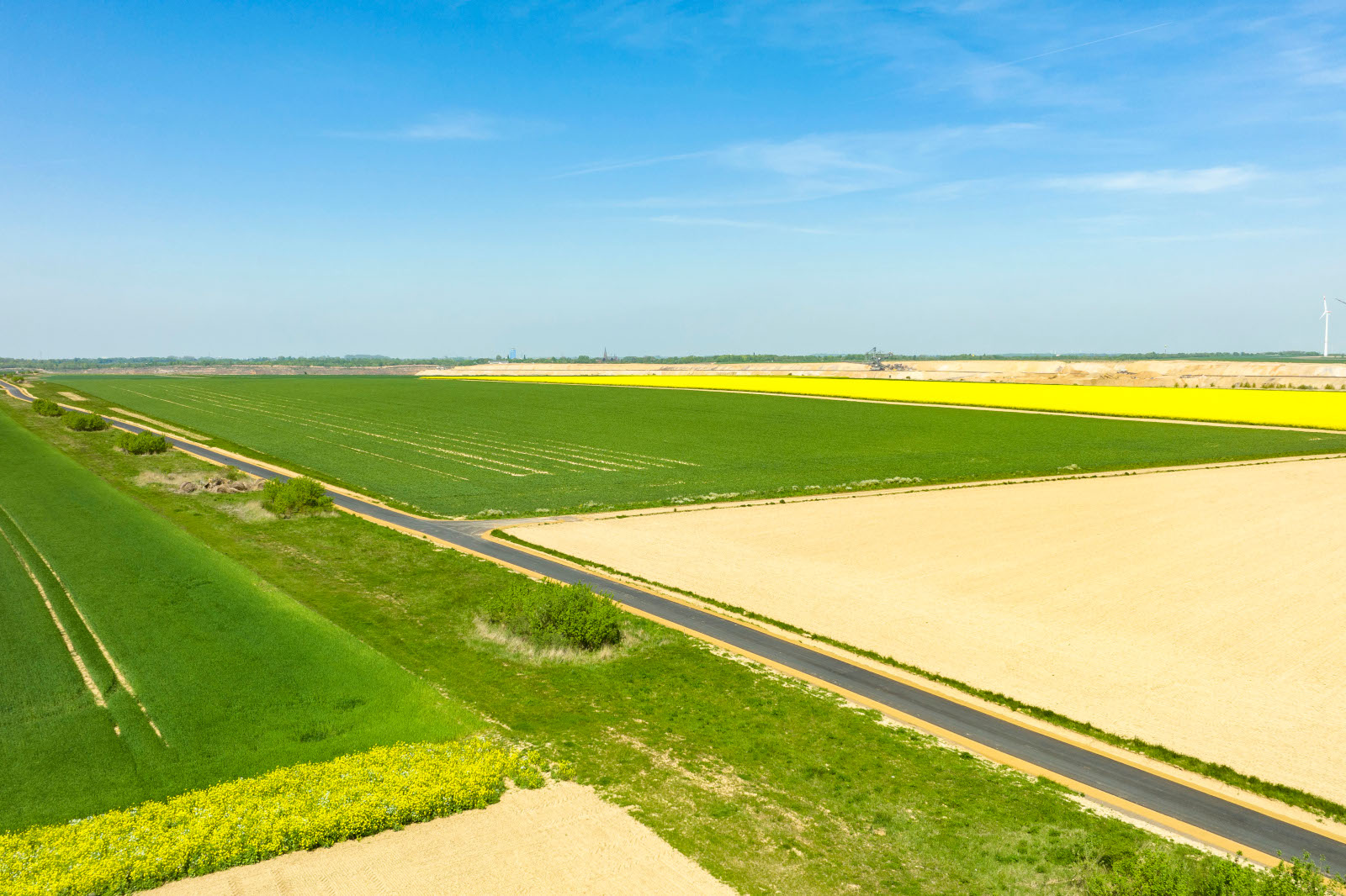 Luftaufnahme von lebhaften landwirtschaftlichen Feldern mit grünen Pflanzen, gelben Blumen und einer Straße, die durch die Landschaft verläuft, unter einem blauen Himmel.