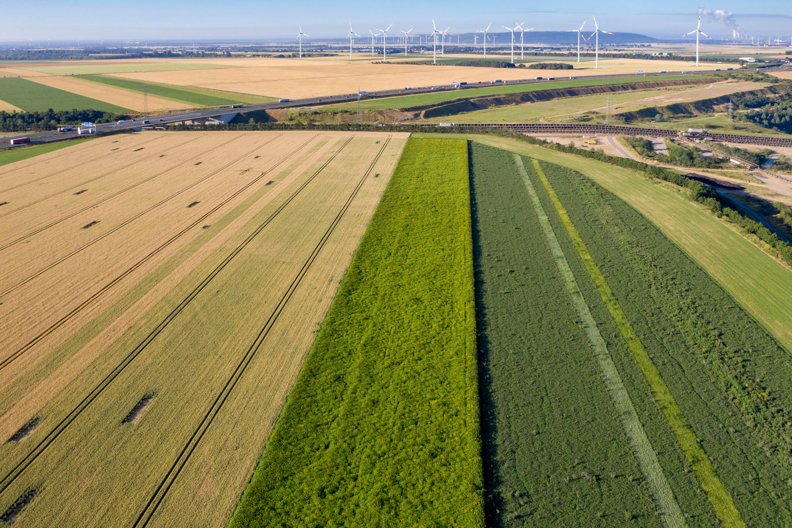 Luftaufnahme von landwirtschaftlichen Feldern mit unterschiedlichen Pflanzen, darunter Weizen und Gras, und Windkraftanlagen in der Ferne.