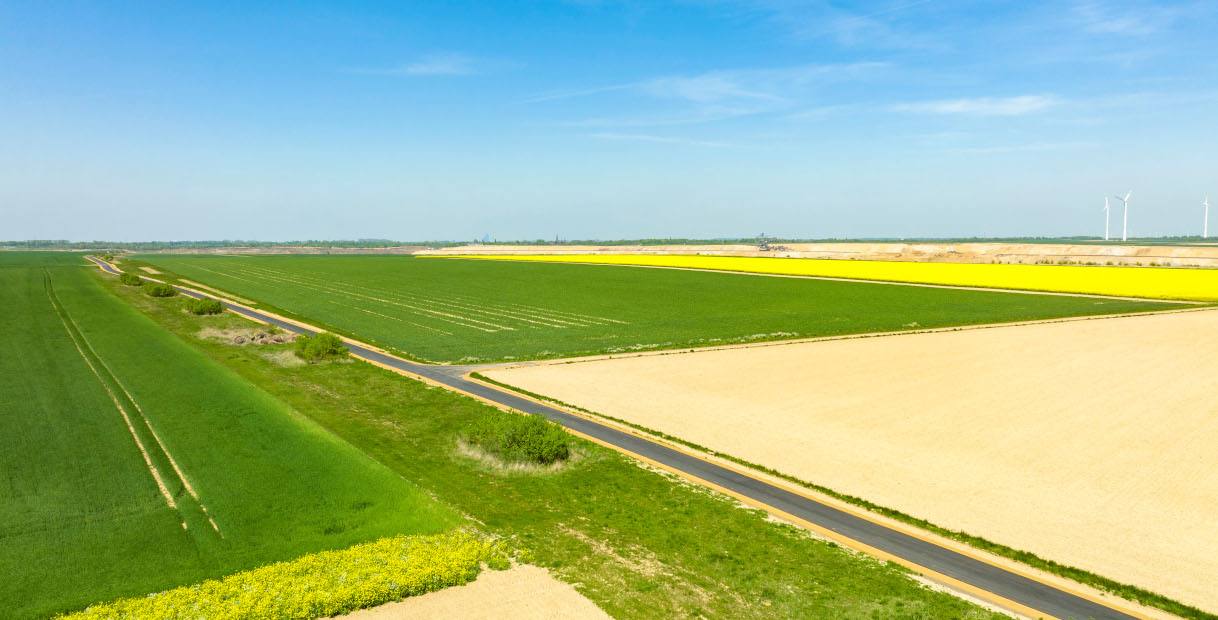 Eine Luftaufnahme von lebhaften grünen und gelben Feldern, die durch eine Straße getrennt sind, mit Windkraftanlagen am Horizont.