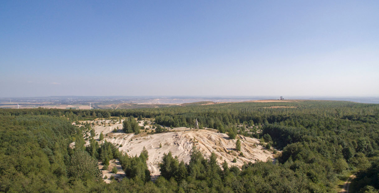 Luftaufnahme einer weitläufigen Waldlandschaft mit einer großen Sandfläche im Vordergrund unter einem klaren blauen Himmel.