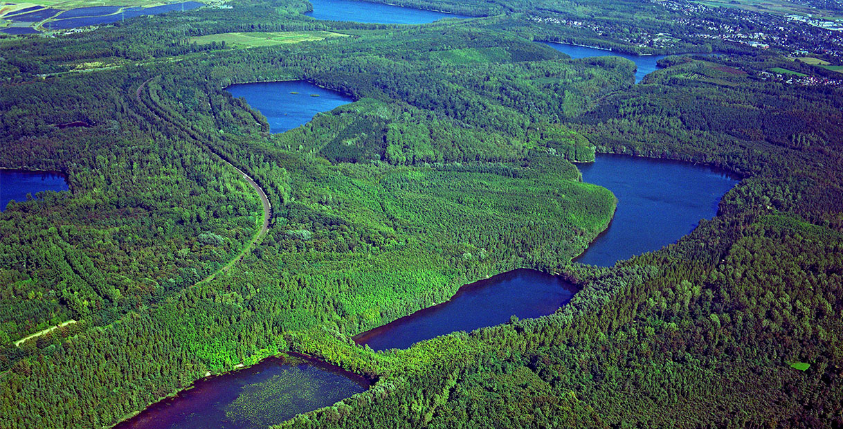 Luftaufnahme von dichten grünen Wäldern und geschwungenen Flüssen, mit mehreren kleinen Seen in der Landschaft.