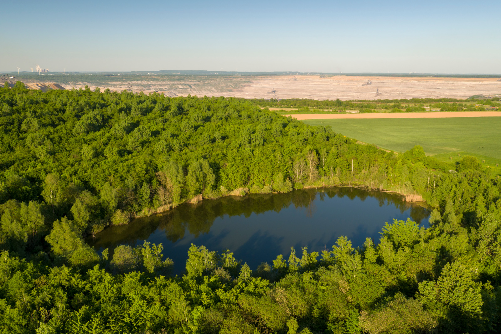 Eine Luftaufnahme eines ruhigen Teichs, umgeben von üppigen grünen Bäumen, mit landwirtschaftlichem Land und einem Tagebau im Hintergrund.