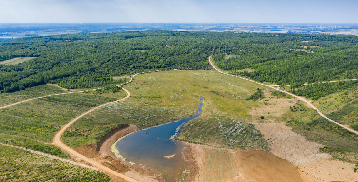 Eine weitläufige Landschaft mit Bäumen, Feldern und einem Fluss, der durch die Mitte verläuft, unter blauem Himmel.