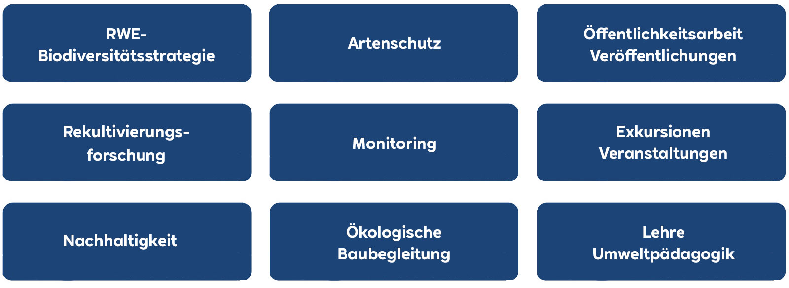 Das Bild zeigt verschiedene blaue Kästen mit weißem Text zu Themen wie der RWE-Biodiversitätsstrategie und Umweltpädagogik.