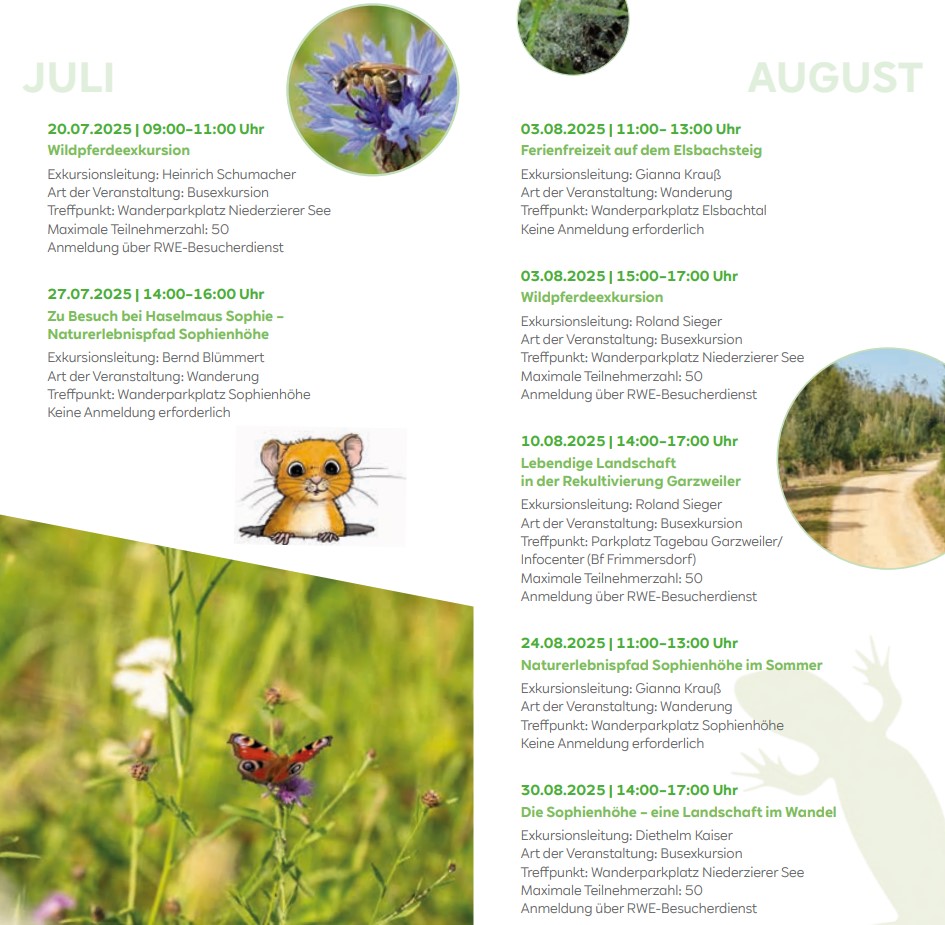 Ein Programm für Exkursionen in der Natur im Juli und August 2024, mit einer Eulenillustration und Details zu verschiedenen Veranstaltungen.